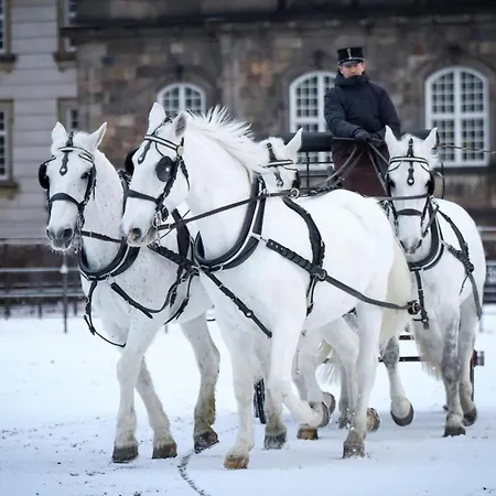 2br Loft - Modern & Appartement *